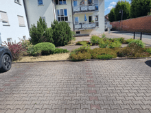 Grünpflege